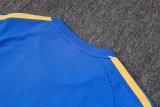Adidas Clover Sets  Blue 1:1 Quality Soccer Jersey  25-26