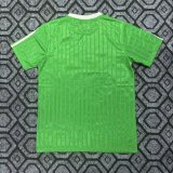 Adidas Clover T-shirt  Green 1:1 Quality Soccer Jersey  25-26