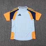 Adidas Clover Sets  Blue 1:1 Quality Soccer Jersey  25-26