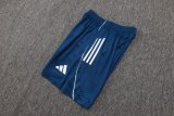 Adidas Clover Sets  Blue 1:1 Quality Soccer Jersey  25-26