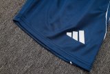 Adidas Clover Sets  Blue 1:1 Quality Soccer Jersey  25-26