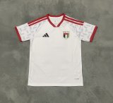United Arab Emirates Home Fans 1:1 Quality Soccer Jersey  26-27(2026)