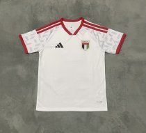 United Arab Emirates Home Fans 1:1 Quality Soccer Jersey  26-27(2026)