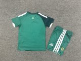 Northern Ireland Home Kids  Fans 1:1 Quality Soccer Jersey  26-27(2026)