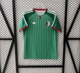 Algeria Away Fans 1:1 Quality Soccer Jersey  26-27(2026)