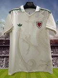 Wales  Away Fans 1:1 Quality Soccer Jersey  26-27 (2026)