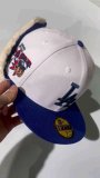 NBA hat 1:1 Quality