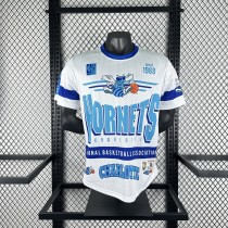 Retro Charlotte Hornets Mitchellness  White 1:1 Quality NBA Jerseys  2026