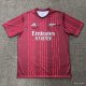 Arsenal  Special Edition Fans 1:1 Quality Soccer Jersey   25-26