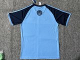 Adidas Clover T-shirt  Blue 1:1 Quality Soccer Jersey  25-26