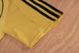 Retro Spain Away  1:1 Quality Soccer Jersey   2008