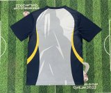 Brazil Special Edition Fans 1:1 Quality Soccer Jersey 25-26