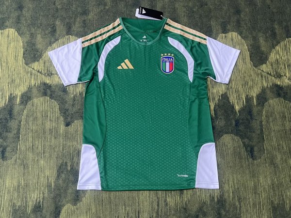 Italy Training  Special Edition Fans 1:1 Quality Soccer Jersey  26-27（2026）