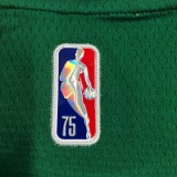 Retro Boston Celtics 75 Year Green  #8 WALKER 1:1 Quality NBA Jerseys