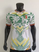 Mali  Away Player 1:1 Quality Soccer Jersey 26-27 (2026)