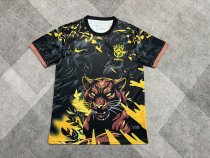 Brazil Special Edition Fans Black Yellow 1:1 Quality Soccer Jersey  26-27 (2026)