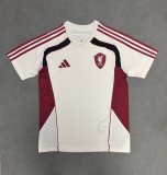 Liverpool Special Edition  Fans 1:1 Quality Soccer Jersey  25-26