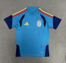 Spain Training Special Edition Fans 1:1 Quality Soccer Jersey 26-27（2026）