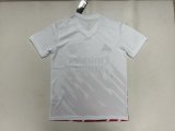 Benfica  Special Edition Fans 1:1 Quality Soccer Jersey 25-26