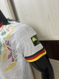 Cameroon Special Edition Player White 1:1 Quality Soccer Jersey  25-26