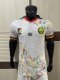 Cameroon Special Edition Player White 1:1 Quality Soccer Jersey  25-26