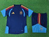 Spain Training Special Edition With Pants Sets Player 1:1 Quality Soccer Jersey 26-27（2026）