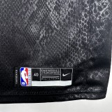 Los Angeles Lakers Snake Pattern#9 JAMES JR. 1:1 Quality NBA Season Jerseys