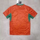 Ivory Coast Home Fans 1:1 Quality Soccer Jersey 26-27 (2026)
