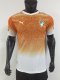 Ivory Coast Special Edition Player  1:1 Quality Soccer Jersey 26-27 (2026)