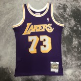 Retro Los Angeles Lakers Purple #73 RODMAN   1:1 Quality NBA Season Jerseys  1998-1999