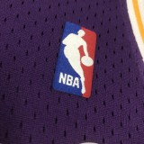 Retro Los Angeles Lakers Purple #73 RODMAN   1:1 Quality NBA Season Jerseys  1998-1999