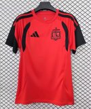Colo-Colo Training  Special Edition Fans  1:1 Quality Soccer Jersey  26-27