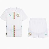 Senegal Home Sets Fans   1:1 Quality Soccer Jersey  25-26
