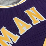 Retro Los Angeles Lakers Purple #73 RODMAN   1:1 Quality NBA Season Jerseys  1998-1999