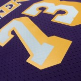 Retro Los Angeles Lakers Purple #73 RODMAN   1:1 Quality NBA Season Jerseys  1998-1999
