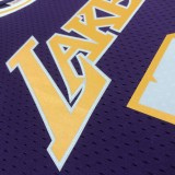 Retro Los Angeles Lakers Purple #73 RODMAN   1:1 Quality NBA Season Jerseys  1998-1999