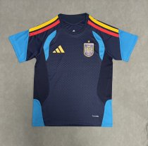 Spain Training Special Edition Player  1:1 Quality Soccer Jersey 26-27（2026）