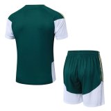 italy Training Green With Pants Sets Player 1:1 Quality Soccer Jersey  26-27（2026）