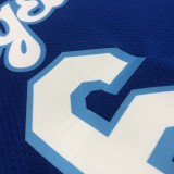 Los Angeles Lakers Blue Latin Night #6 JAMES 1:1 Quality NBA Season Jerseys