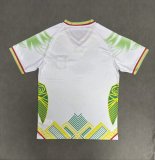 Mali White Green Fans   1:1 Quality Soccer Jersey 26-27 (2026)