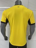 Ghana Special Edition Fans  1:1 Quality Soccer Jersey  26-27 (2026)