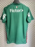 Palmeiras Home Fans 1:1 Quality Soccer Jersey   26-27 (有广告)