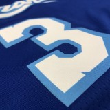 Los Angeles Lakers Blue Latin Night #3 DAVIS 1:1 Quality NBA Season Jerseys