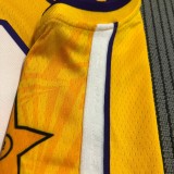 Los Angeles Lakers  V-Neck  Yellow with star  #0 YOUNG 1:1 Quality NBA Season Jerseys