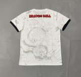 Japan Special Edition Fans 1:1 Quality Soccer Jersey  25-26