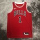 Chicago Bulls Red #1 ROSE 1:1 Quality NBA  Season Jerseys  2023