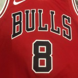 Chicago Bulls Red #8 LAVINE 1:1 Quality NBA  Season Jerseys  2023