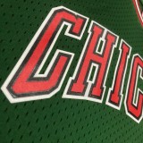 Retro Chicago Bulls  Green  #1 ROSE 1:1 Quality NBA  Season Jerseys 2008-2009