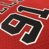 Chicago Bulls  Red Women #91 RODMAN 1:1 Quality NBA  Season Jerseys