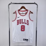 Chicago Bulls White  #8 LAVINE 1:1 Quality NBA  Season Jerseys  2023